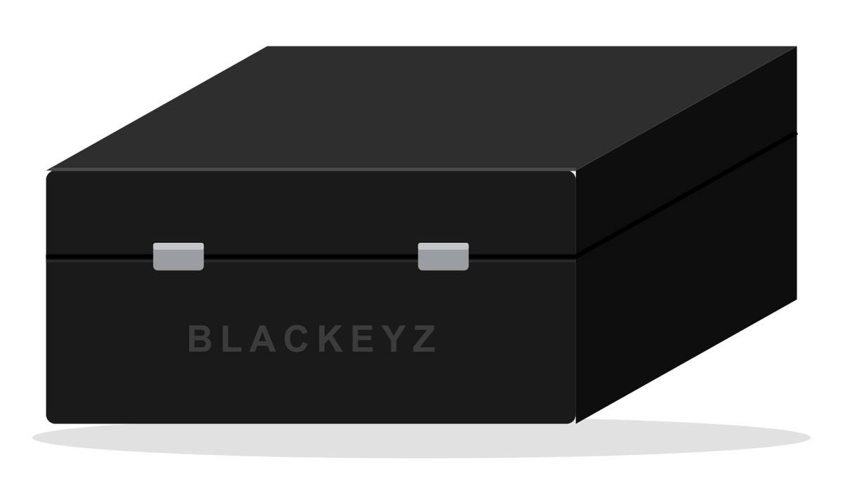 Blackeyz Duo Box, two-key Faraday box