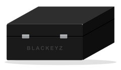 Blackeyz Duo Box, two-key Faraday box