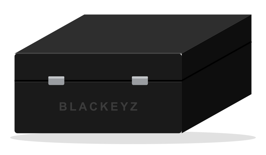 Blackeyz Duo Box, two-key Faraday box